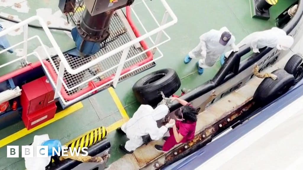 hantavirus-may-have-spread-between-passengers-on-cruise-ship-who-says