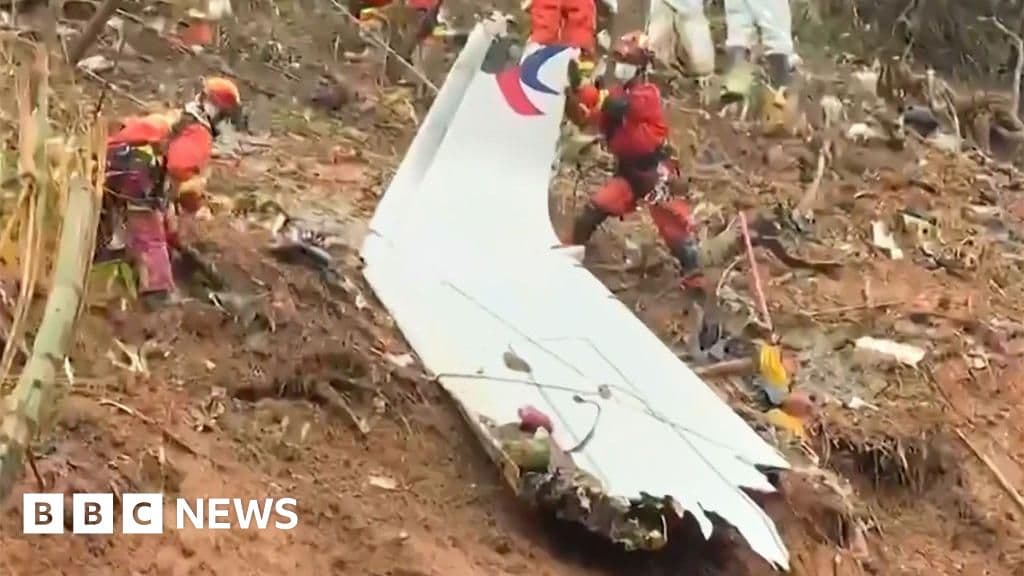 deadly-china-plane-crash-was-caused-by-fuel-cut-off-says-report