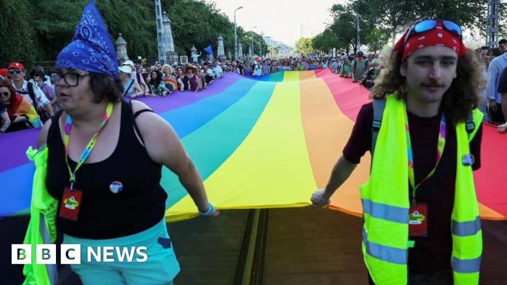 unprecedented-ruling-finds-hungarys-anti-lgbtq-laws-in-breach-of-eu-values