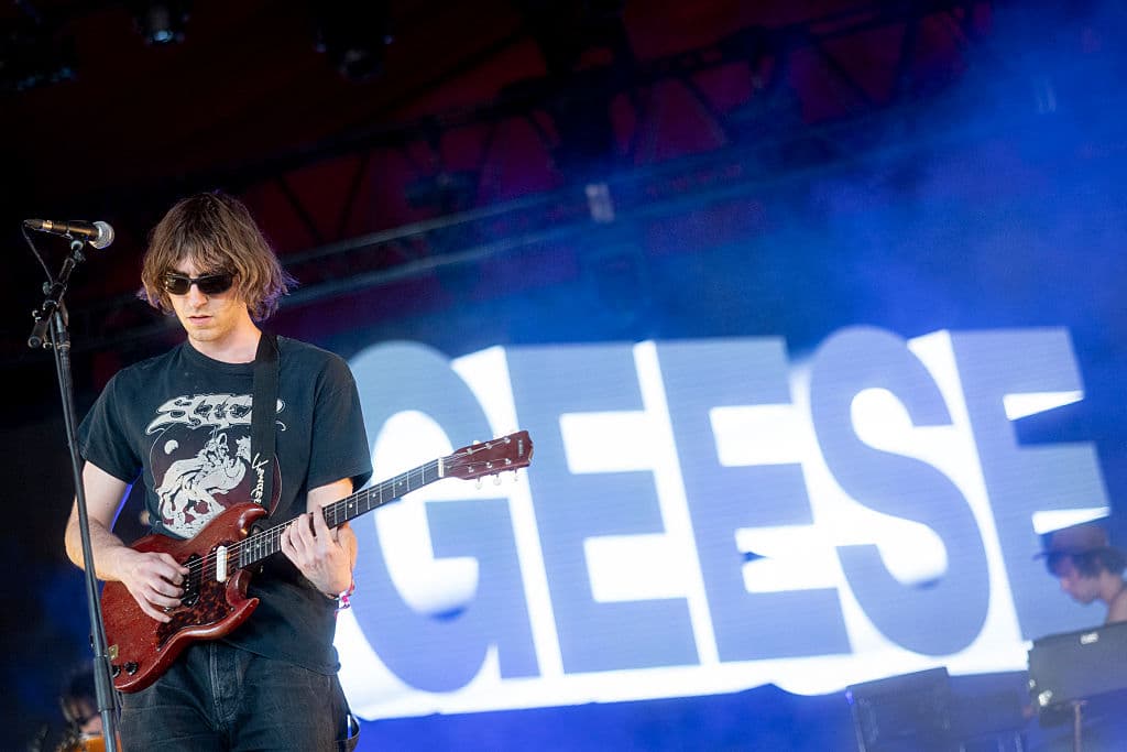 its-okay-to-like-geese